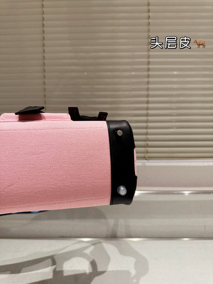 Hermes Birkin 25 Cago 2025 Newest Model