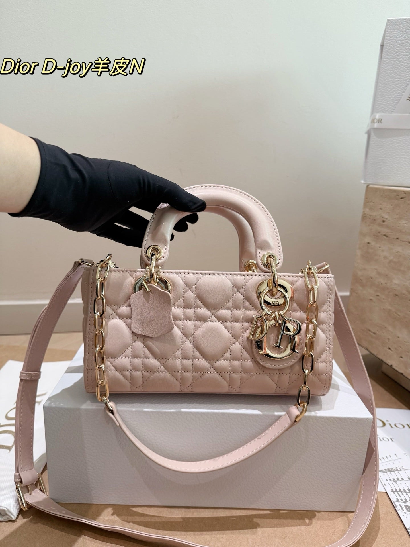 Original leather Dior Lady D-Joy horizontal bag (made of lambskin)