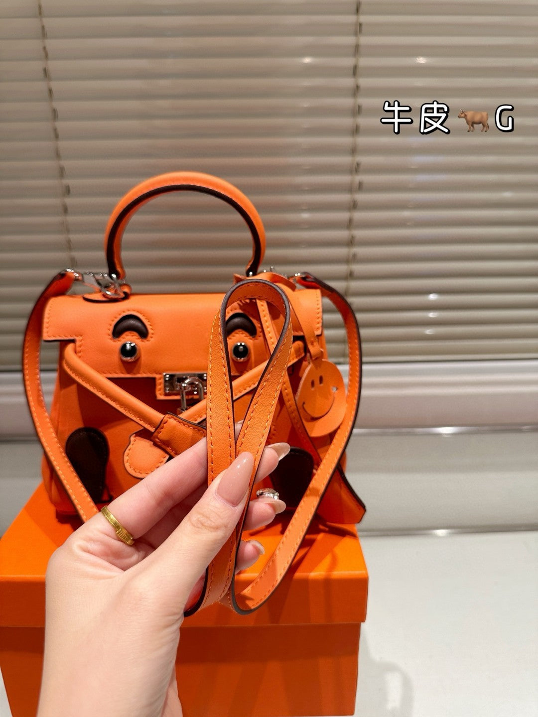 Hermes Kelly 2025 New Model Kellydo Bag
