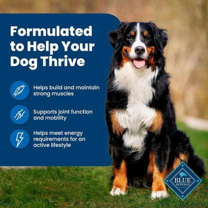 Life Protection Formula Adult Dry Dog Food, Chicken & Brown Rice Recipe, Natural Ingredients, 30 lb Bag