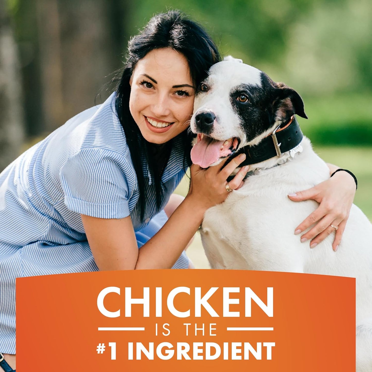 Chicken Jerky Dog Treats, Made with 100% Real Chicken Breast, High Protein Natural Chew Treats for Dogs, 16 oz