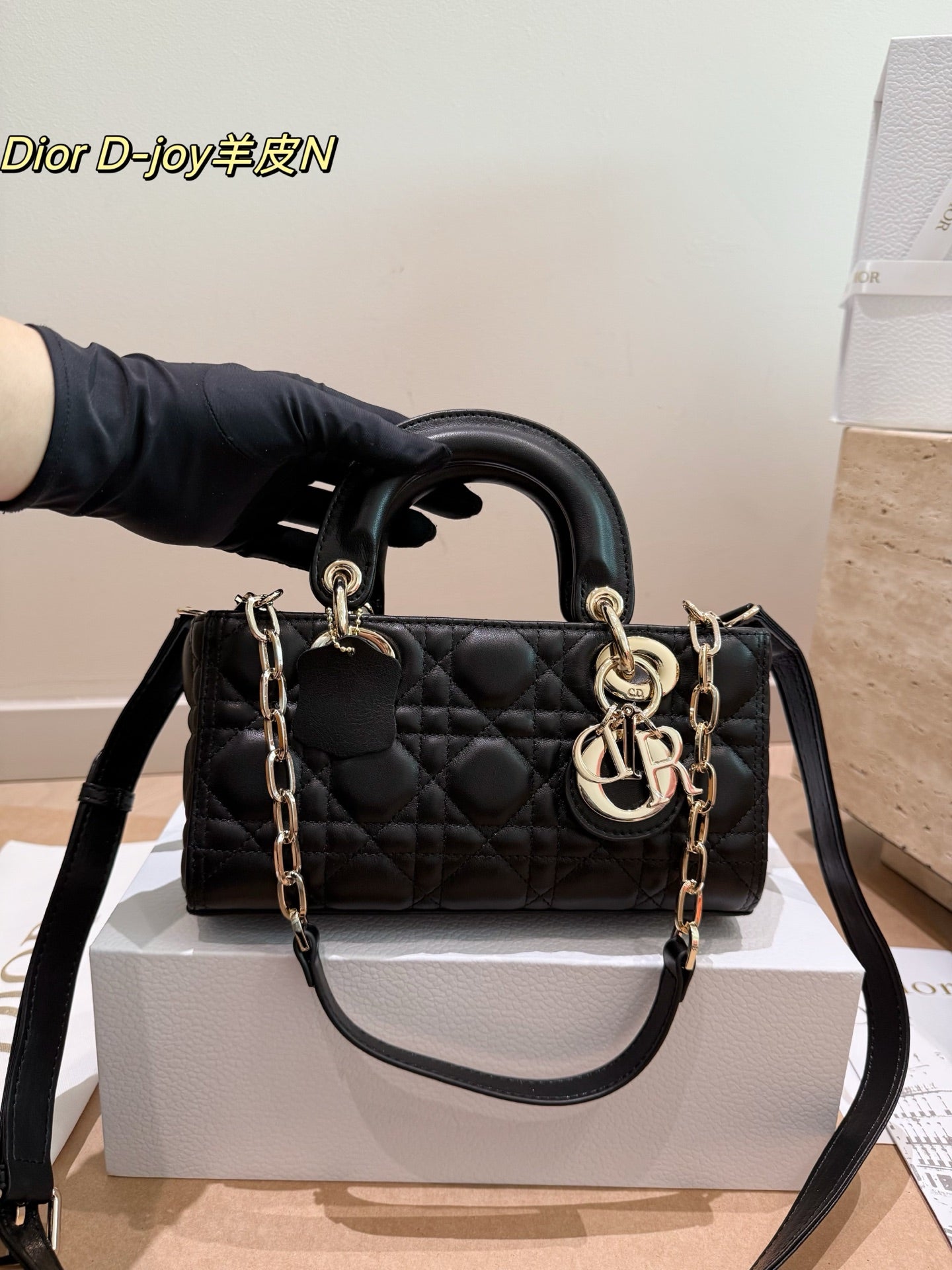 Original leather Dior Lady D-Joy horizontal bag (made of lambskin)