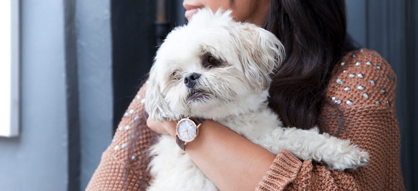 T3003 | Rose Gold & Brown Watch