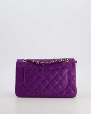 Chanel Purple Small Classic Double Flap Bag Caviar Leather with Champagne Gold Hardware