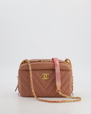 Dusty Pink Camera Bag in Chevron Lambskin Leather with Brushed Gold Hardware and Multicolour Leather Strap