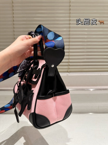 Hermes Birkin 25 Cago 2025 Newest Model