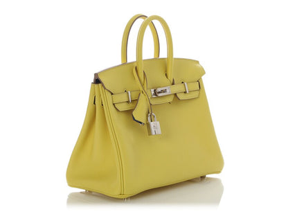Lime Novillo and Bleu Hydra Verso Birkin 25 Gold Hardware, 2021