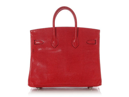 Bougainvillea Shiny Varanus Niloticus Lizard Birkin 25 Palladium Hardware, 2007