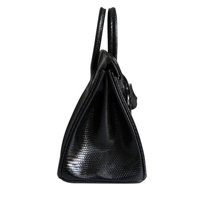 Black Lizard Lisse Birkin 25 Palladium Hardware, 2025