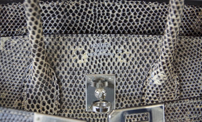 Hermès Birkin 25 Bag Ombre Lizard PHW