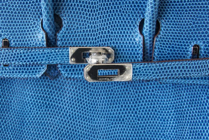 Hermès Birkin 25 Bag Mykonos Lizard PHW