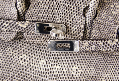 Hermès Birkin 25 Ombre Lizard Bag PHW