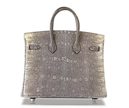 Hermès Birkin 25 Ombre Lizard Bag PHW